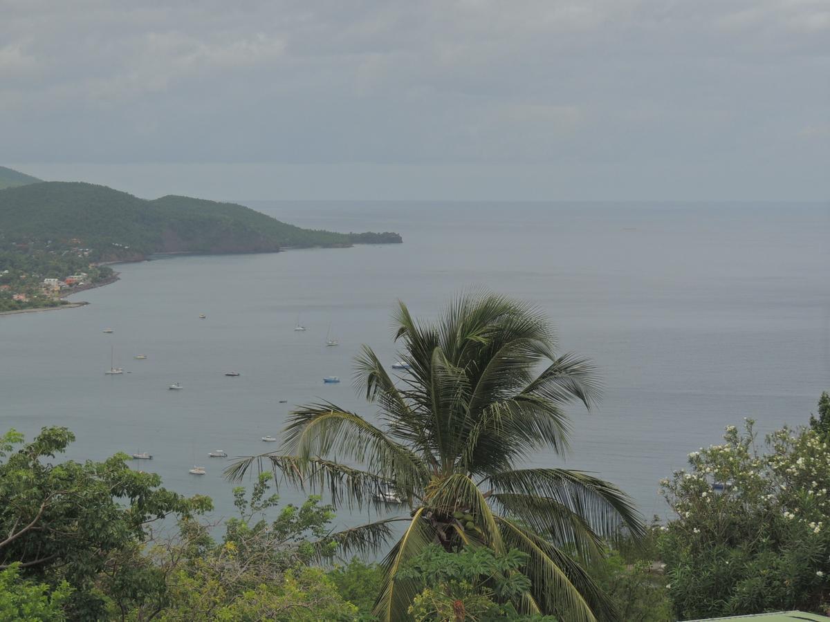 Gites Hotel Couleur Caraibes ブイヤント エクステリア 写真